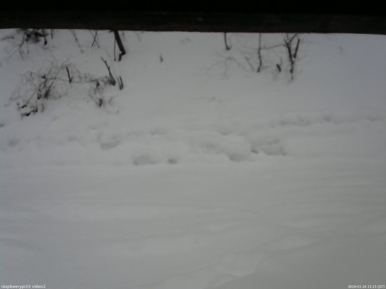 長野県菅平高原 ゆたか山荘 南側 2026/01/24 15:15