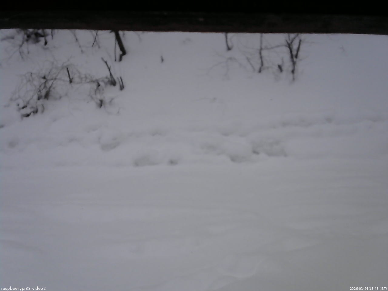 長野県菅平高原 ゆたか山荘 南側 2026/01/24 15:45