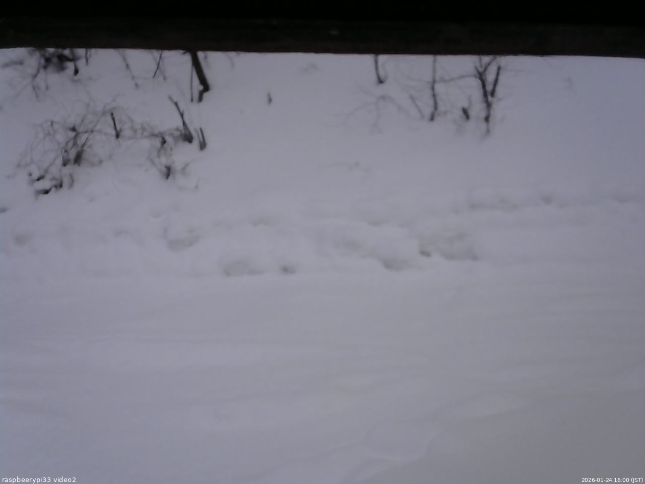長野県菅平高原 ゆたか山荘 南側 2026/01/24 16:00