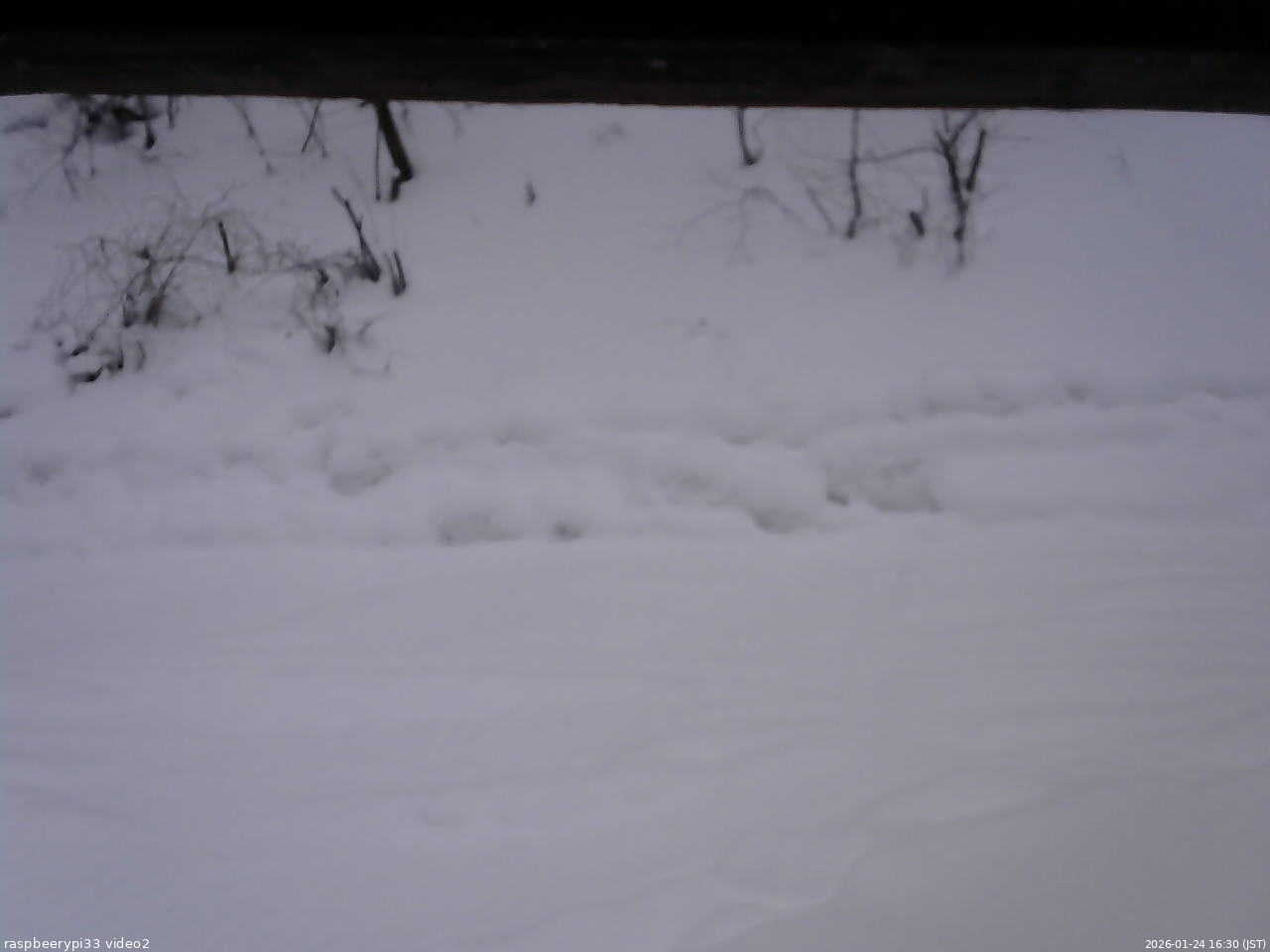 長野県菅平高原 ゆたか山荘 南側 2026/01/24 16:30