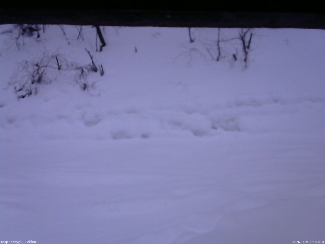長野県菅平高原 ゆたか山荘 南側 2026/01/24 17:00