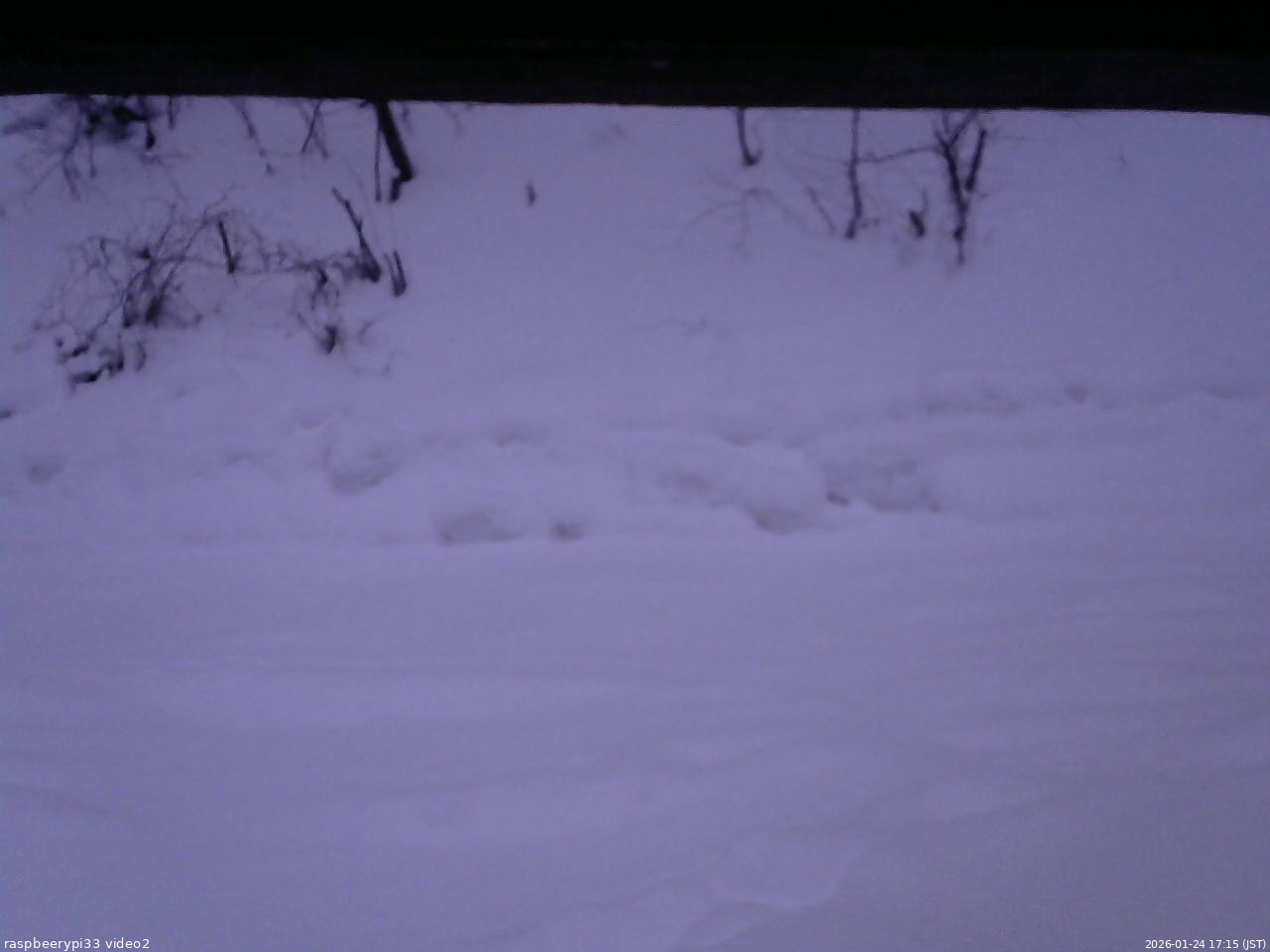 長野県菅平高原 ゆたか山荘 南側 2026/01/24 17:15