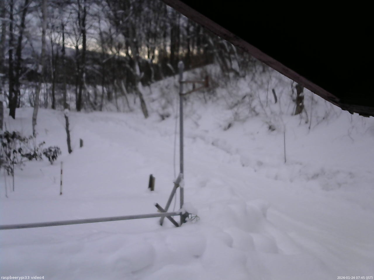 長野県菅平高原 ゆたか山荘 東側(坂下) 2026/01/24 07:45