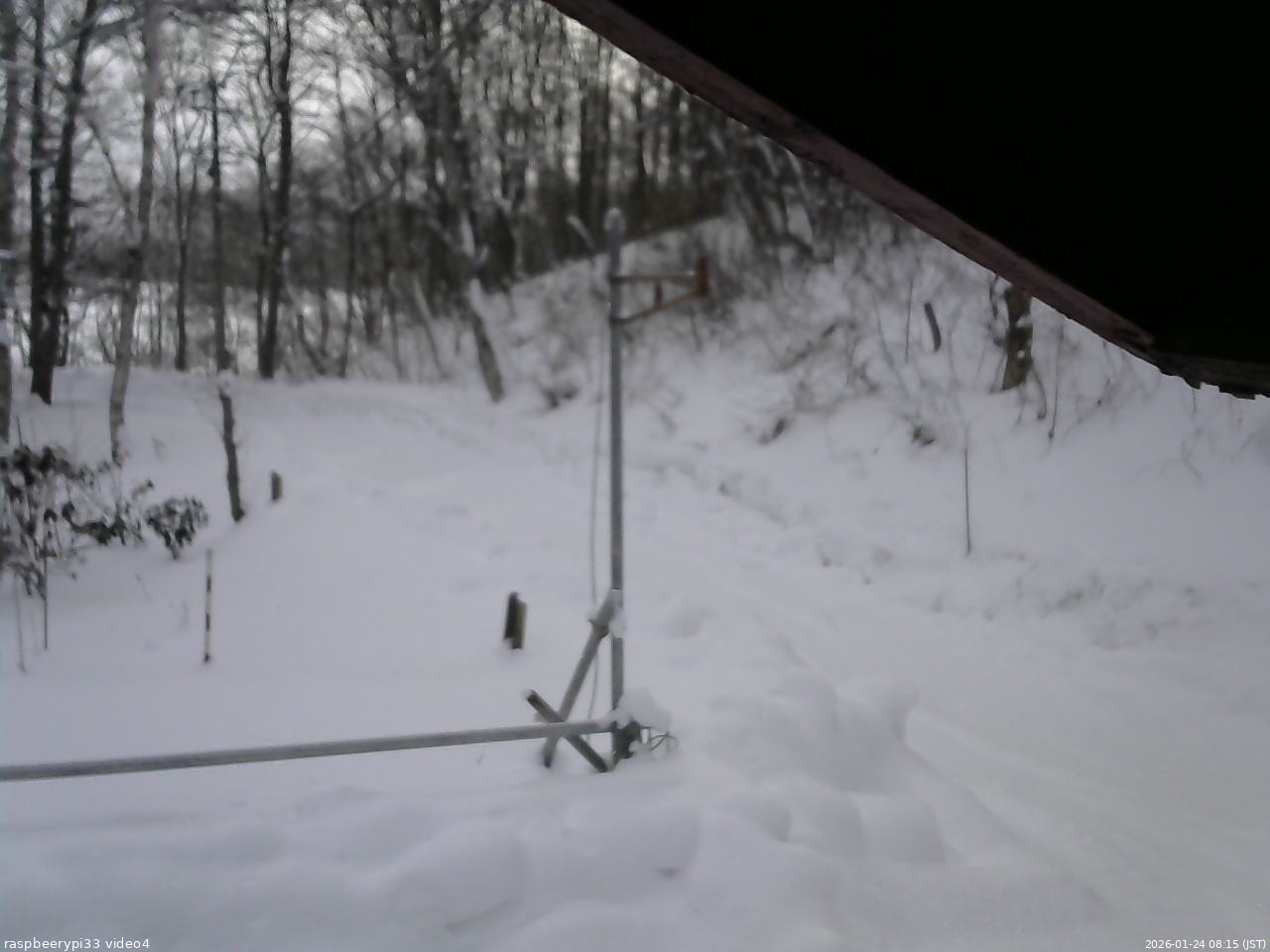 長野県菅平高原 ゆたか山荘 東側(坂下) 2026/01/24 08:15