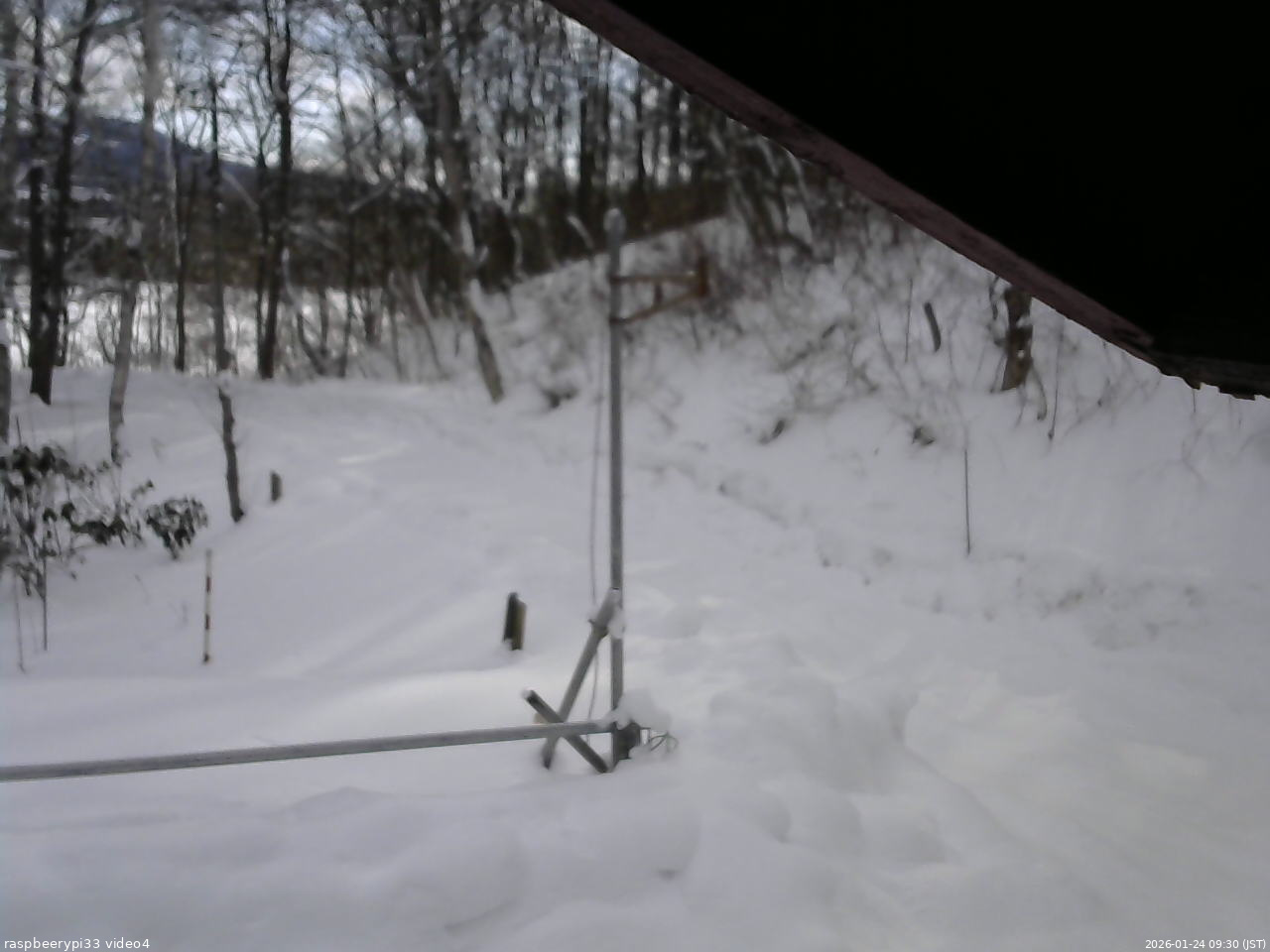 長野県菅平高原 ゆたか山荘 東側(坂下) 2026/01/24 09:30