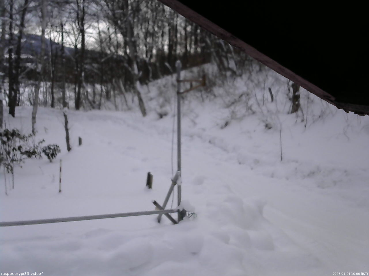 長野県菅平高原 ゆたか山荘 東側(坂下) 2026/01/24 10:00