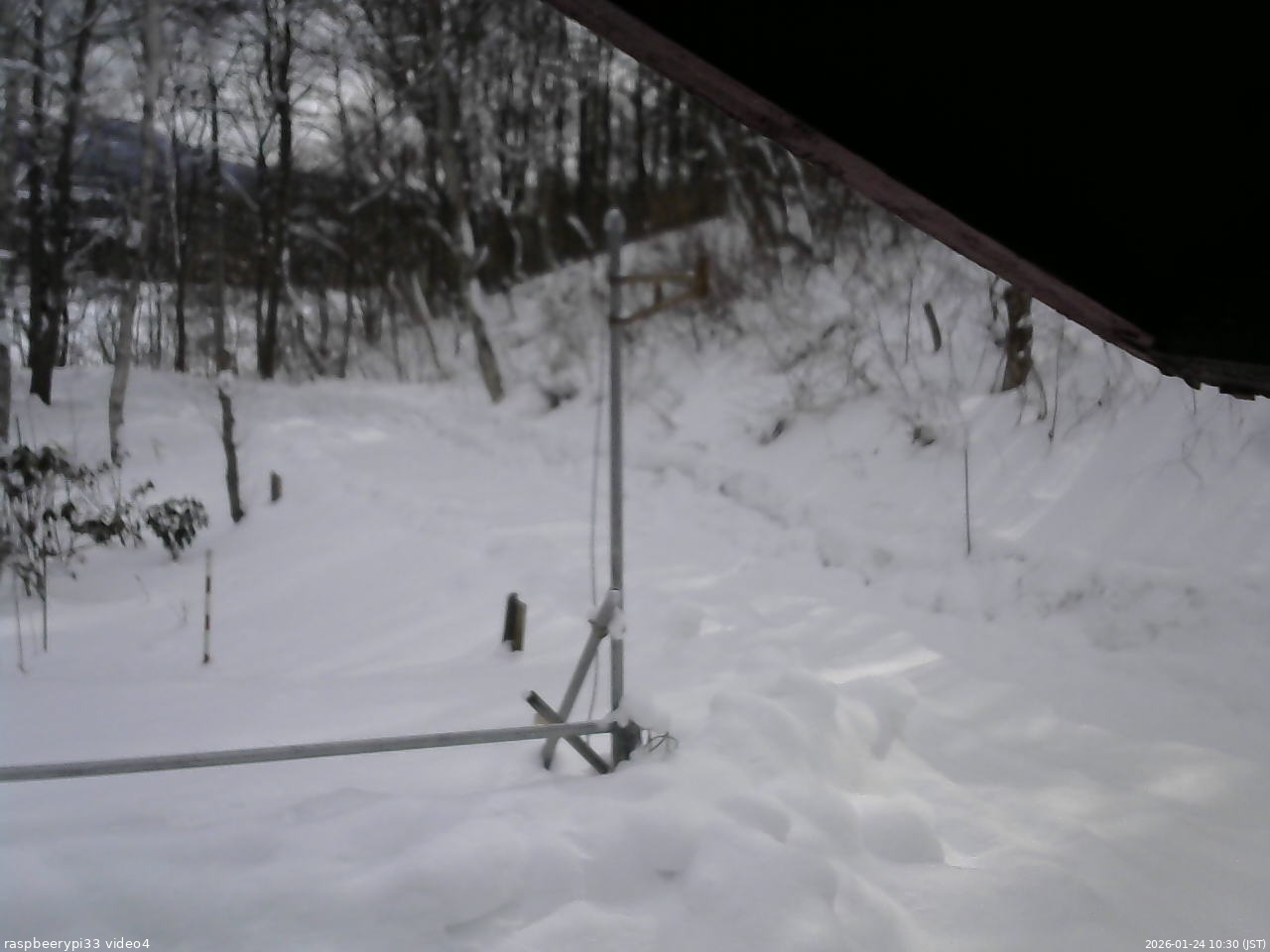 長野県菅平高原 ゆたか山荘 東側(坂下) 2026/01/24 10:30