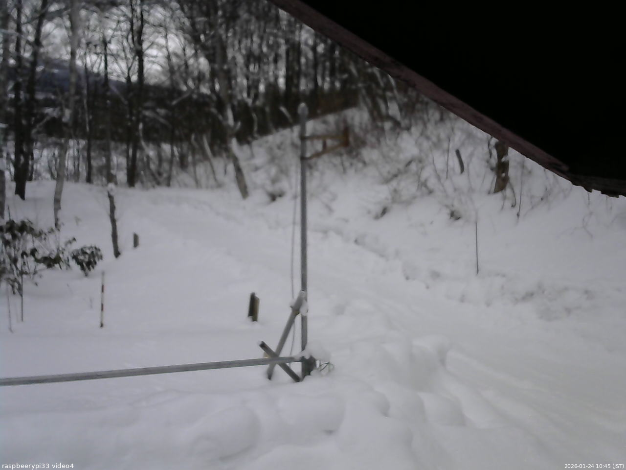 長野県菅平高原 ゆたか山荘 東側(坂下) 2026/01/24 10:45