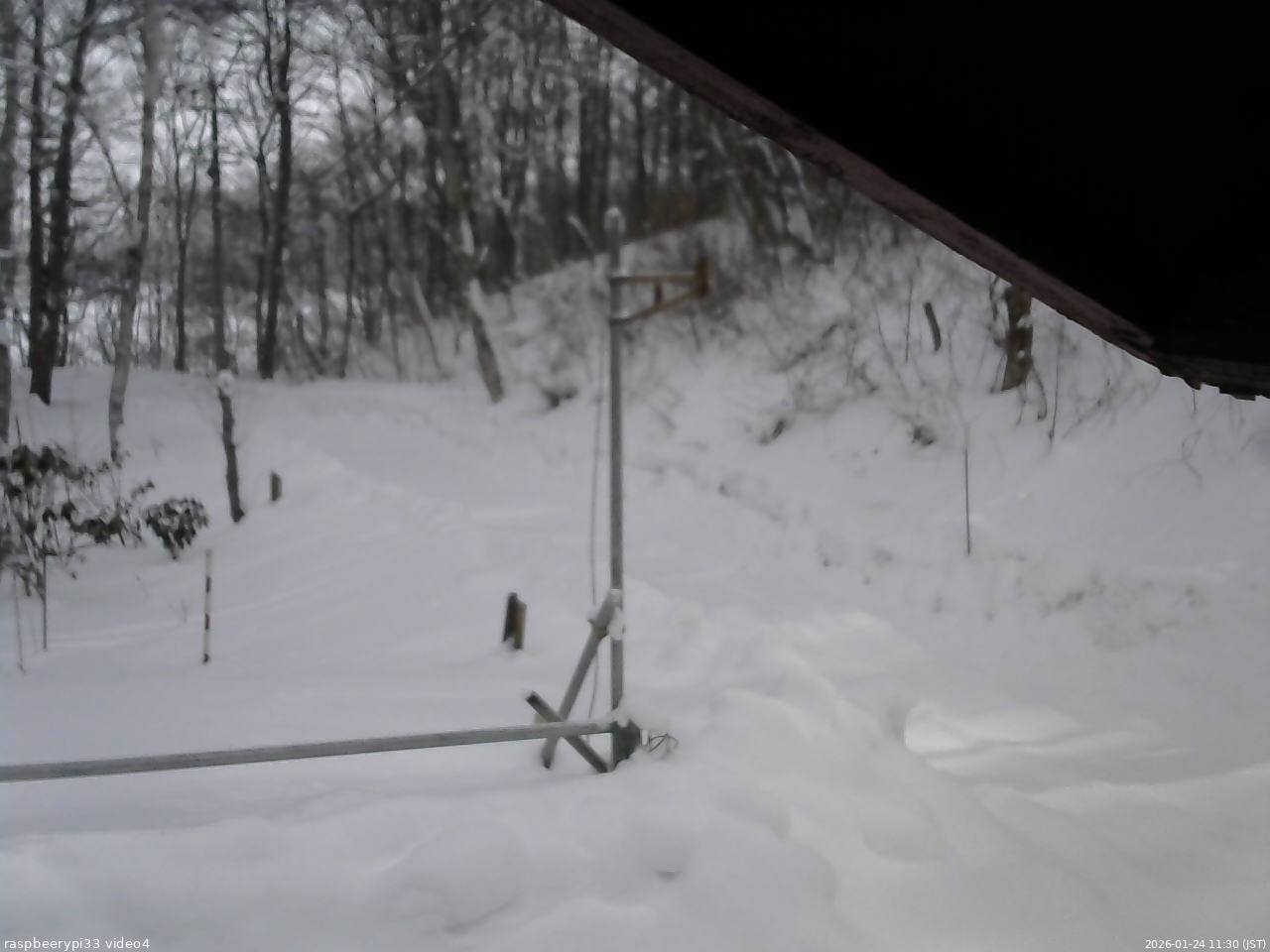 長野県菅平高原 ゆたか山荘 東側(坂下) 2026/01/24 11:30