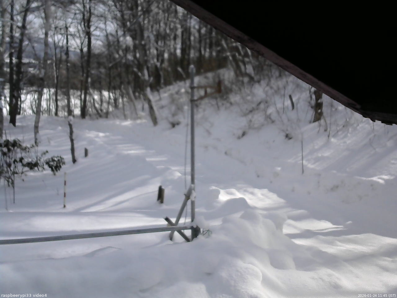 長野県菅平高原 ゆたか山荘 東側(坂下) 2026/01/24 11:45