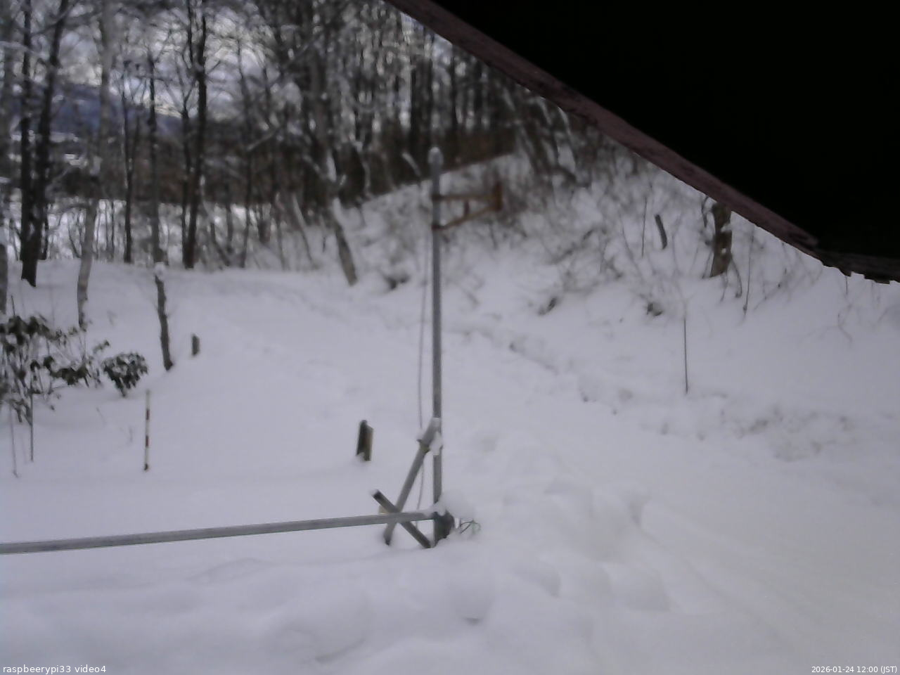 長野県菅平高原 ゆたか山荘 東側(坂下) 2026/01/24 12:00