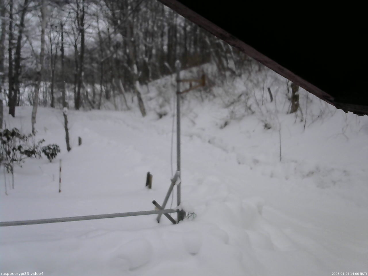 長野県菅平高原 ゆたか山荘 東側(坂下) 2026/01/24 14:00