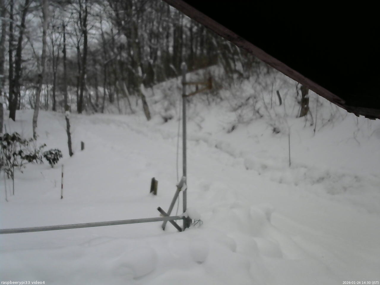 長野県菅平高原 ゆたか山荘 東側(坂下) 2026/01/24 14:30