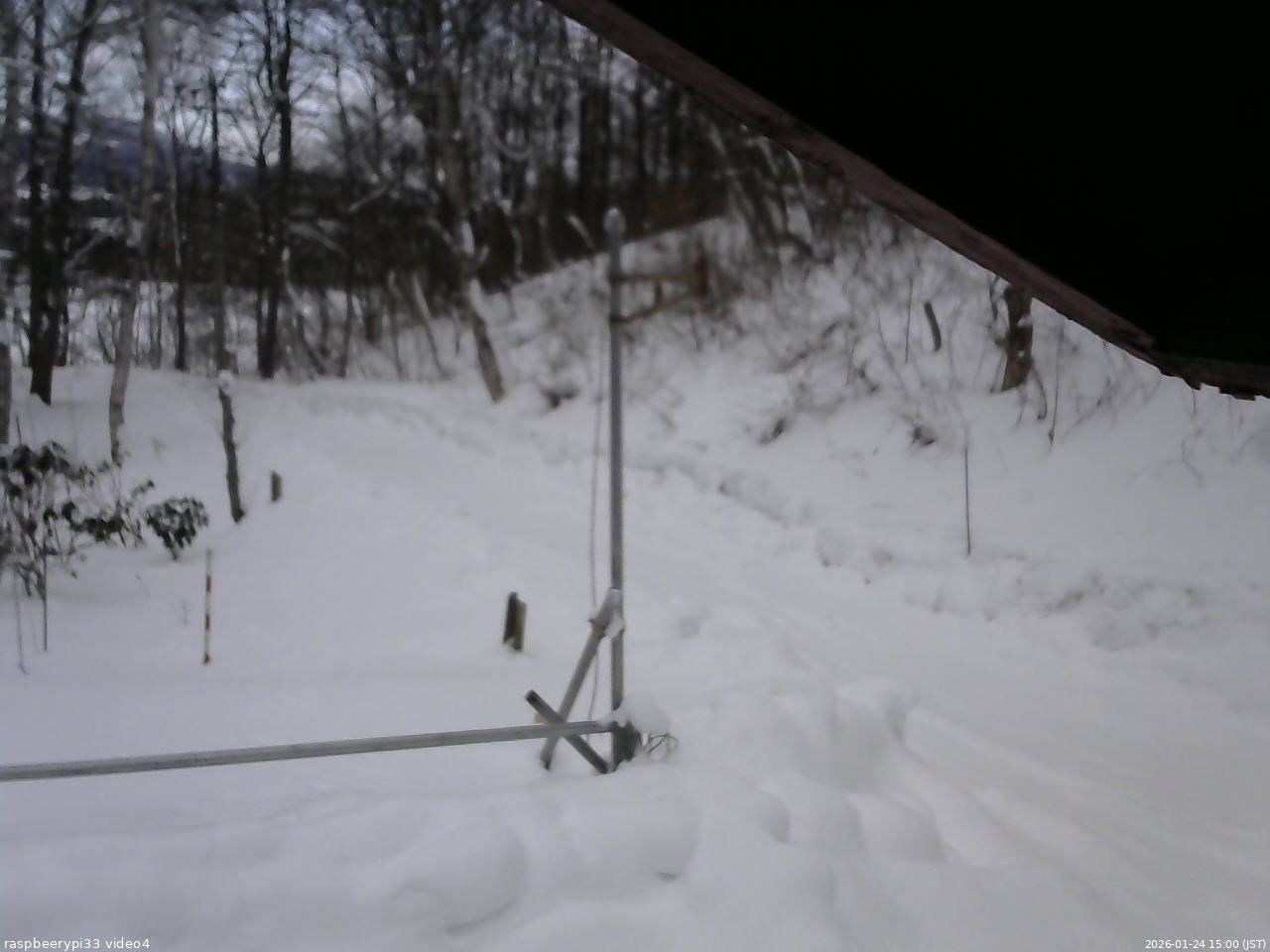 長野県菅平高原 ゆたか山荘 東側(坂下) 2026/01/24 15:00