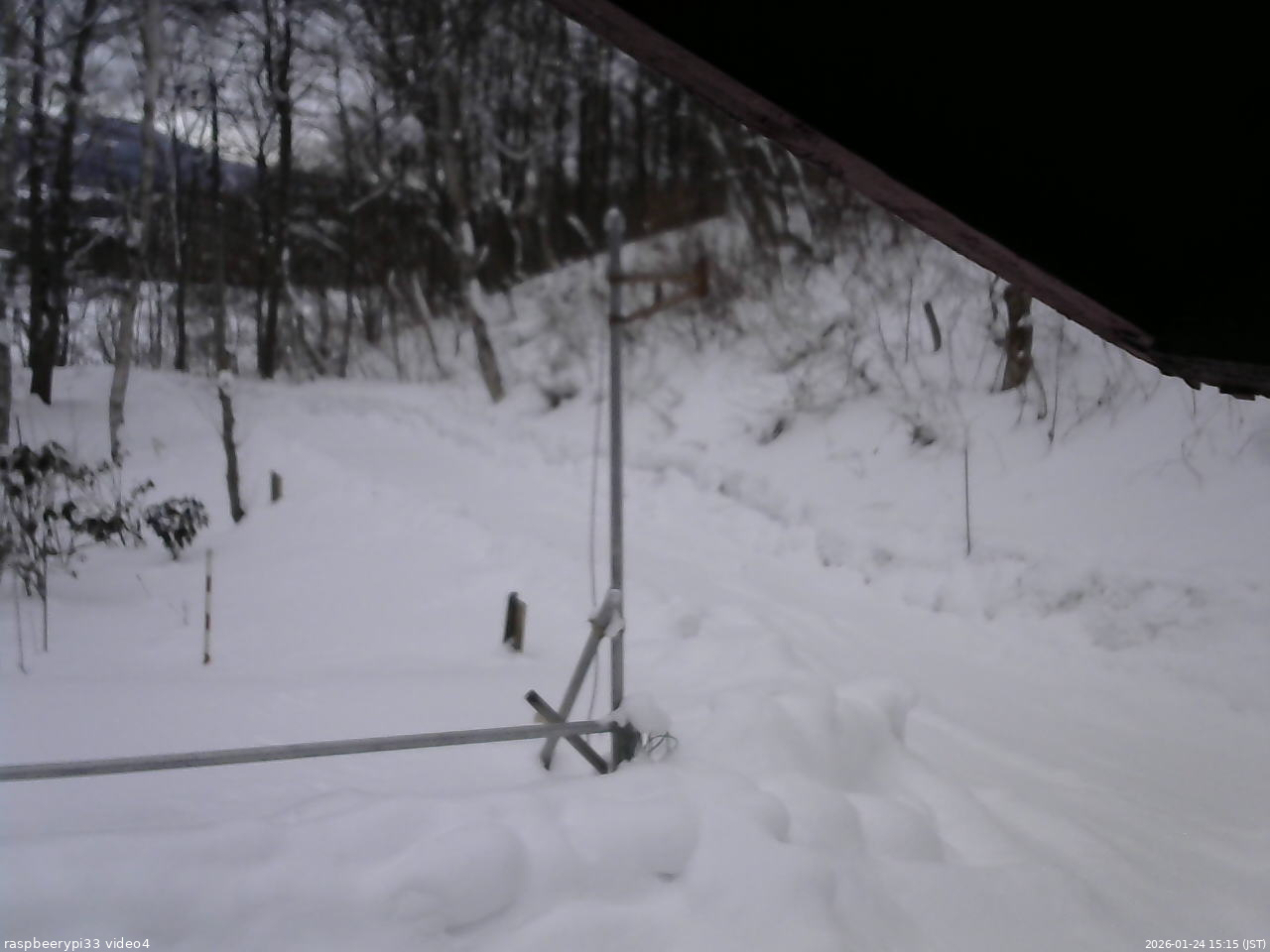 長野県菅平高原 ゆたか山荘 東側(坂下) 2026/01/24 15:15