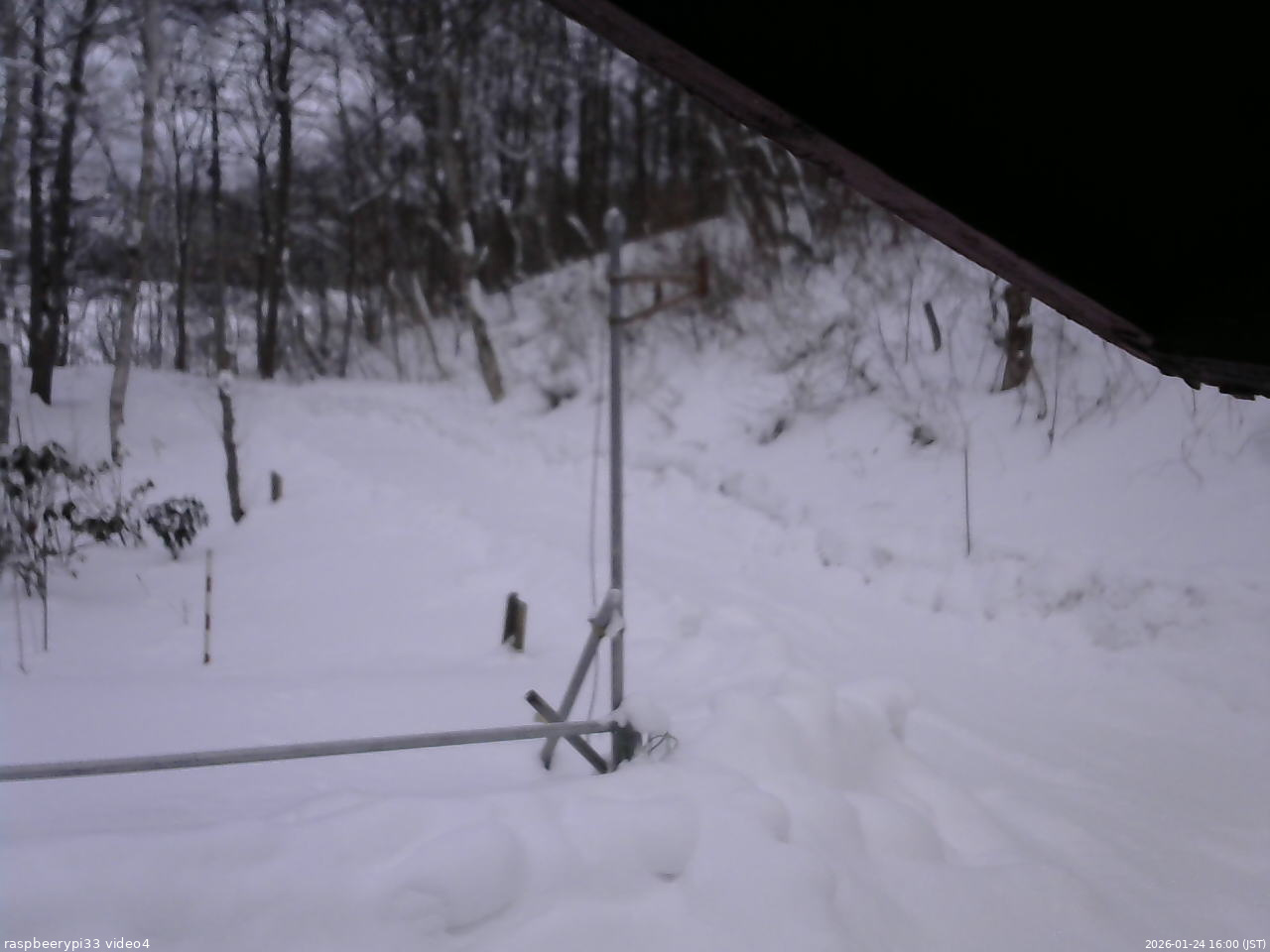 長野県菅平高原 ゆたか山荘 東側(坂下) 2026/01/24 16:00