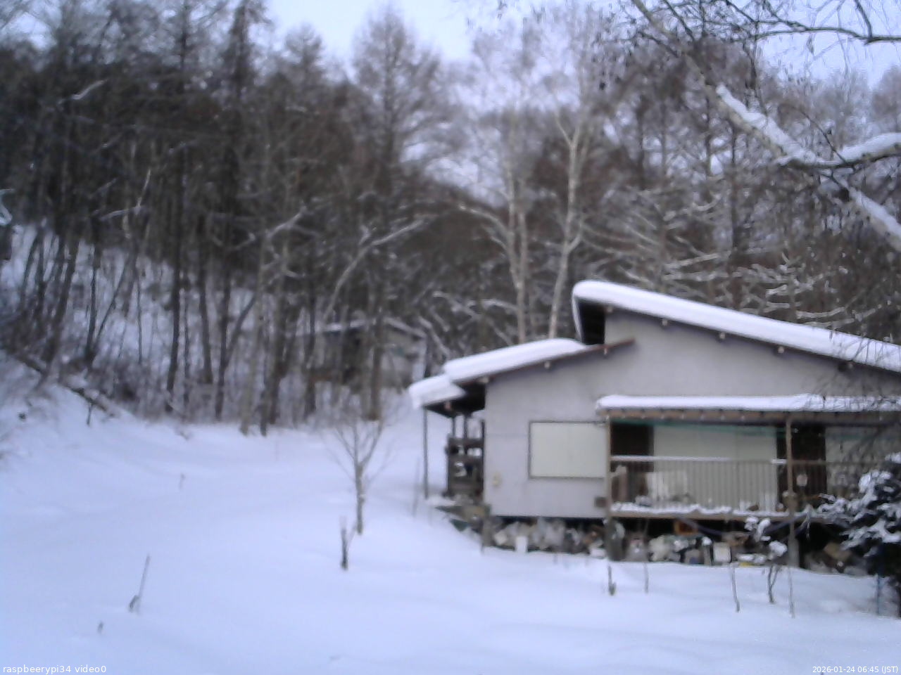 長野県菅平高原 ゆたか山荘 西側(坂上) 2026/01/24 06:45