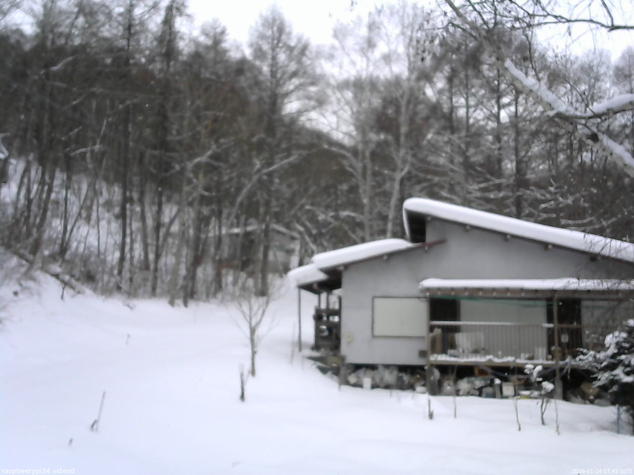 長野県菅平高原 ゆたか山荘 西側(坂上) 2026/01/24 07:45
