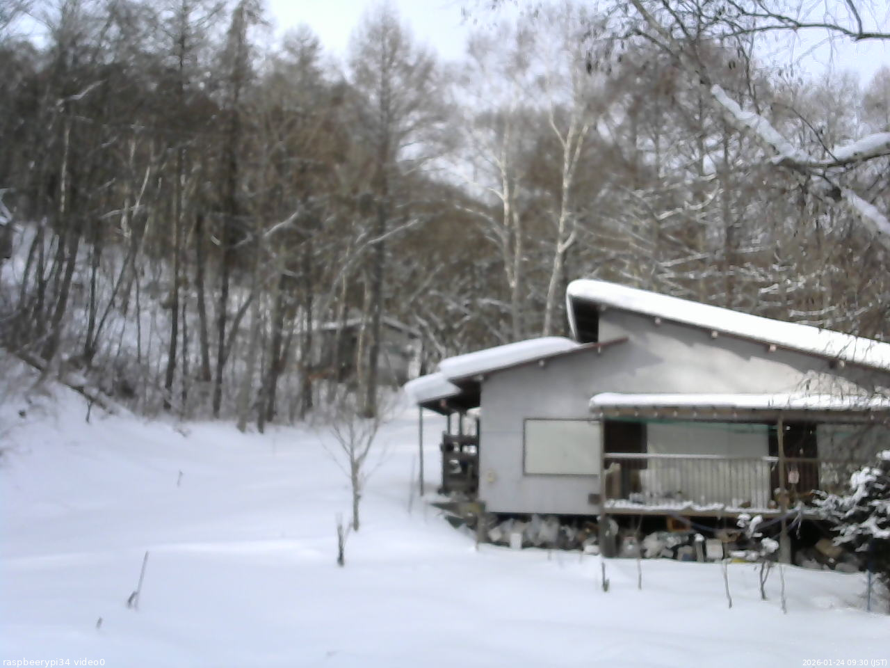 長野県菅平高原 ゆたか山荘 西側(坂上) 2026/01/24 09:30