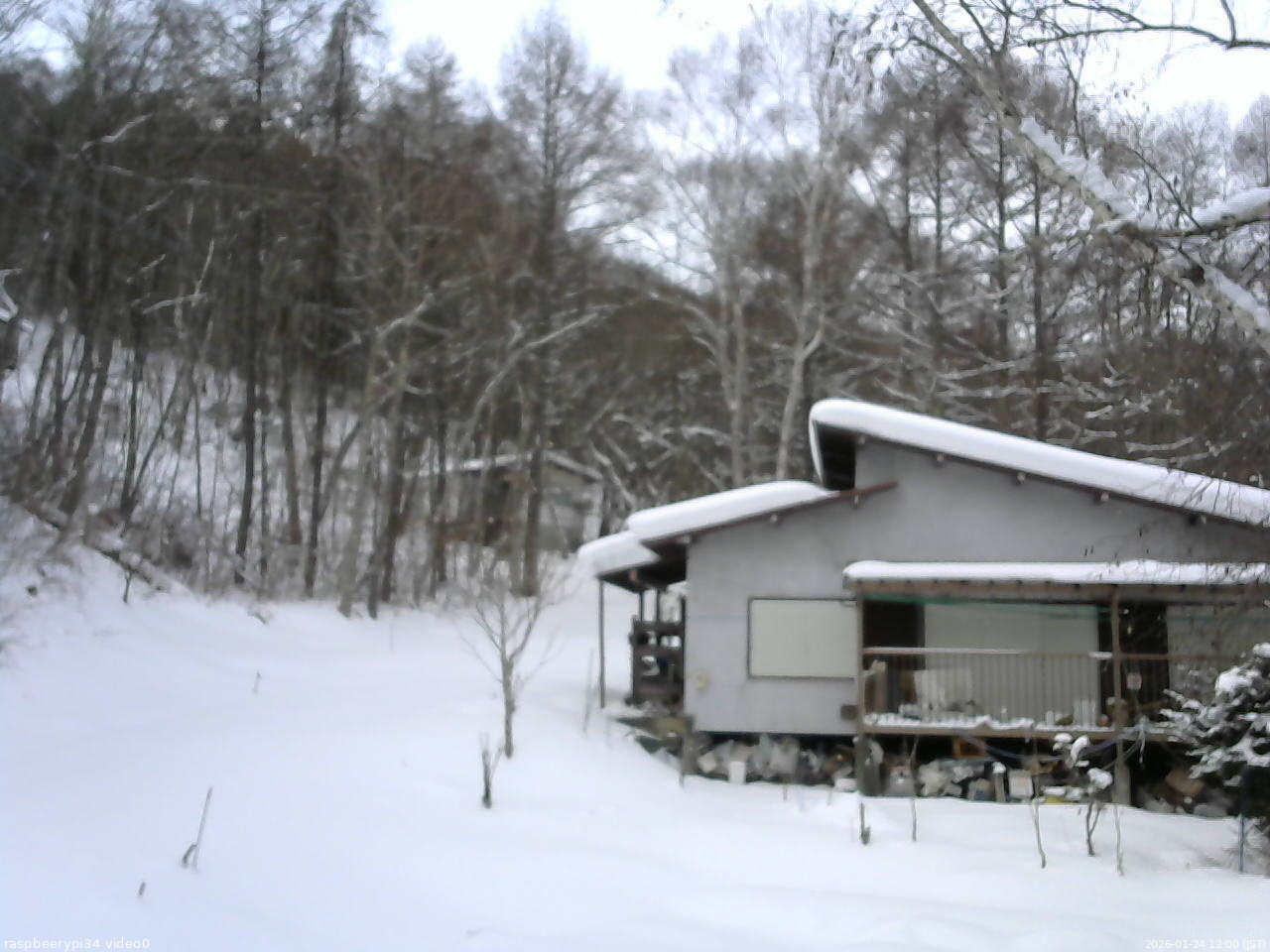 長野県菅平高原 ゆたか山荘 西側(坂上) 2026/01/24 12:00