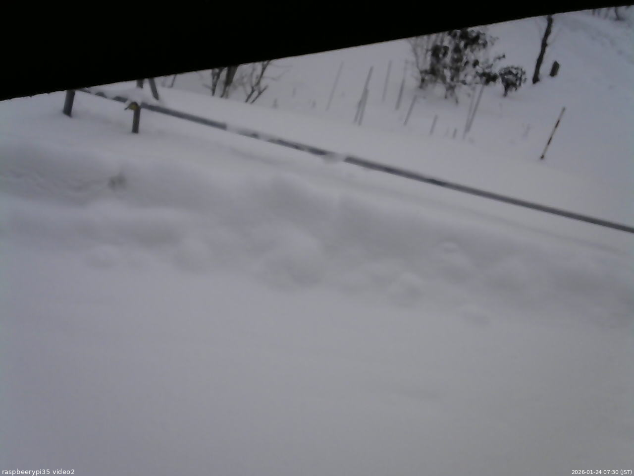 長野県菅平高原 ゆたか山荘 駐車場 2026/01/24 07:30