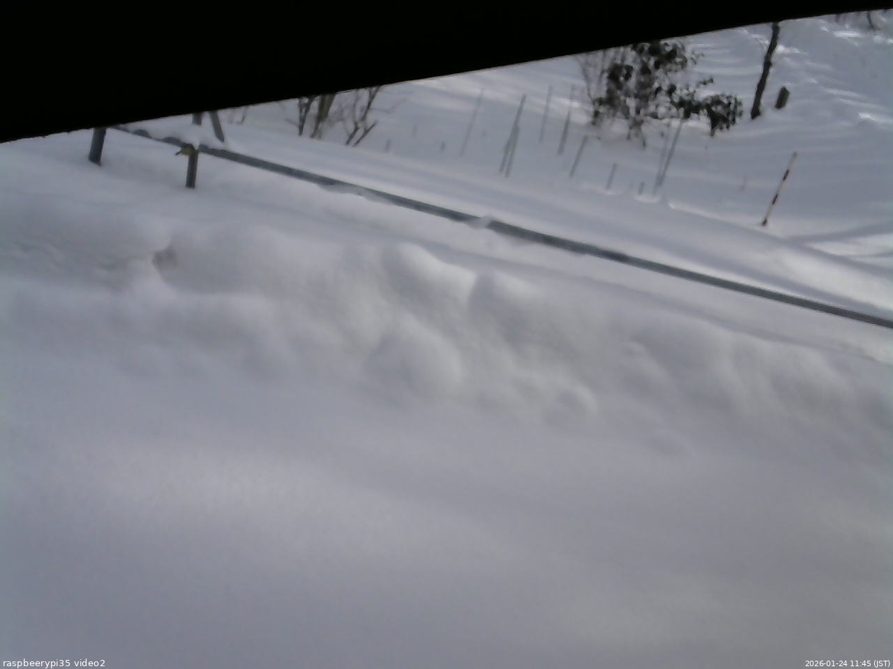 長野県菅平高原 ゆたか山荘 駐車場 2026/01/24 11:45