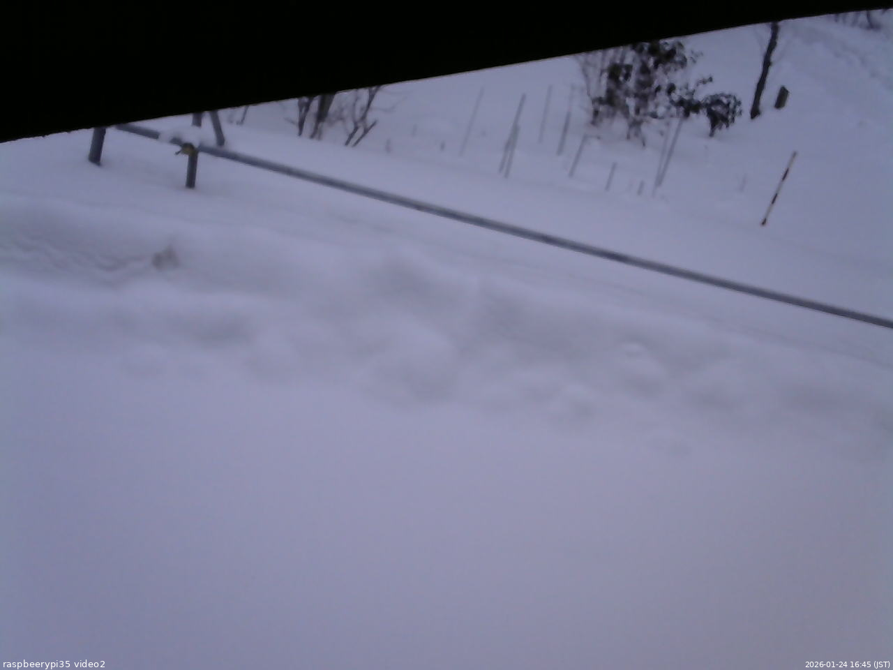長野県菅平高原 ゆたか山荘 駐車場 2026/01/24 16:45