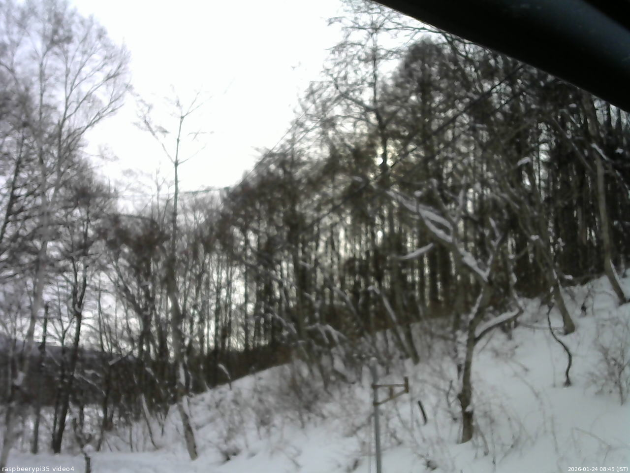 長野県菅平高原 ゆたか山荘 東側上空 2026/01/24 08:45