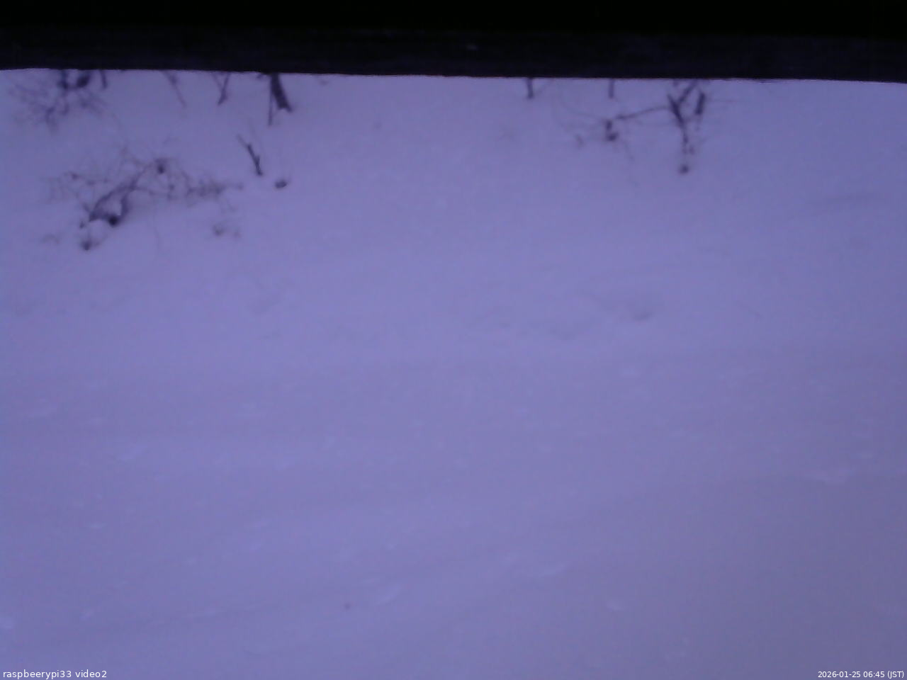 長野県菅平高原 ゆたか山荘 南側 2026/01/25 06:45