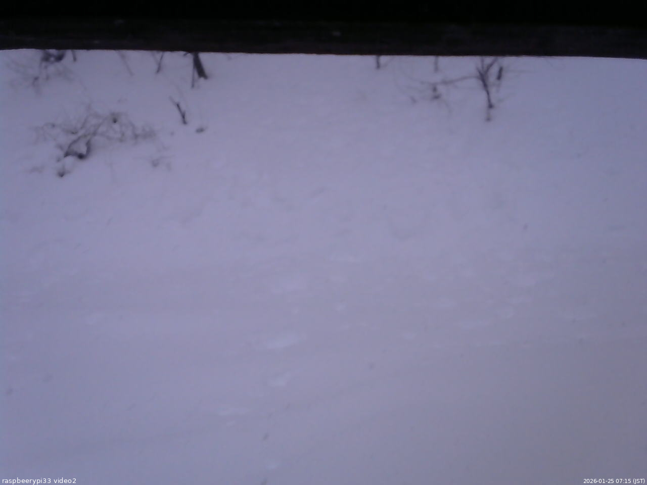 長野県菅平高原 ゆたか山荘 南側 2026/01/25 07:15