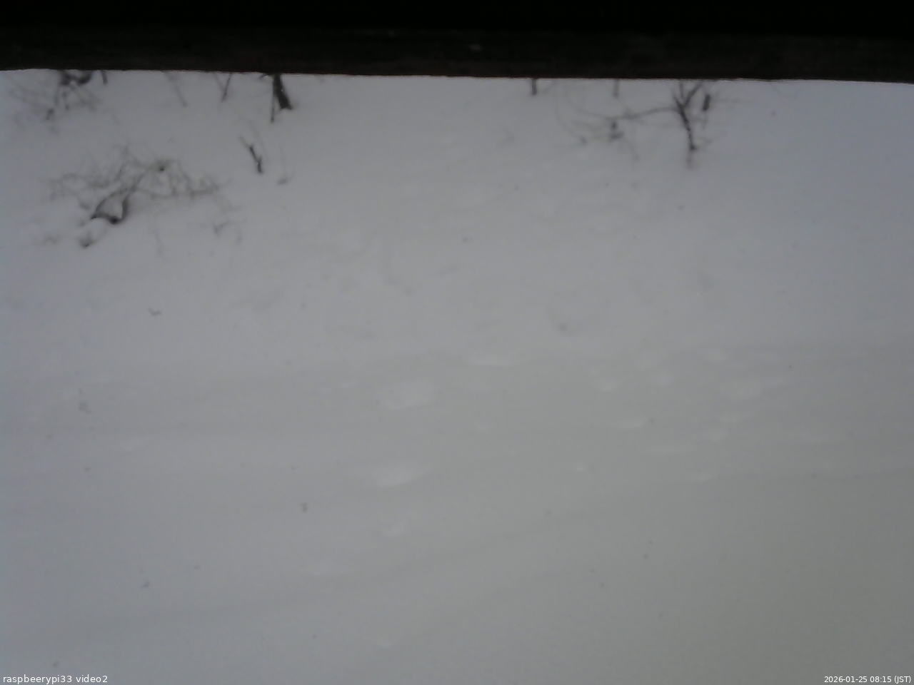 長野県菅平高原 ゆたか山荘 南側 2026/01/25 08:15