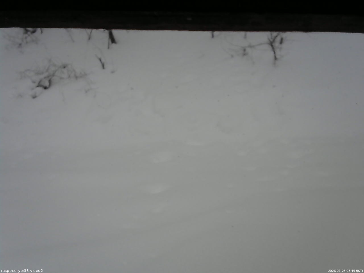 長野県菅平高原 ゆたか山荘 南側 2026/01/25 08:45
