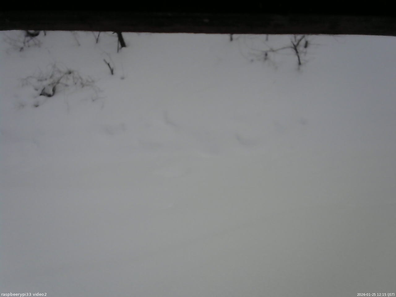 長野県菅平高原 ゆたか山荘 南側 2026/01/25 12:15
