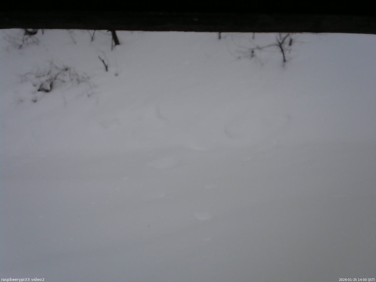 長野県菅平高原 ゆたか山荘 南側 2026/01/25 14:00