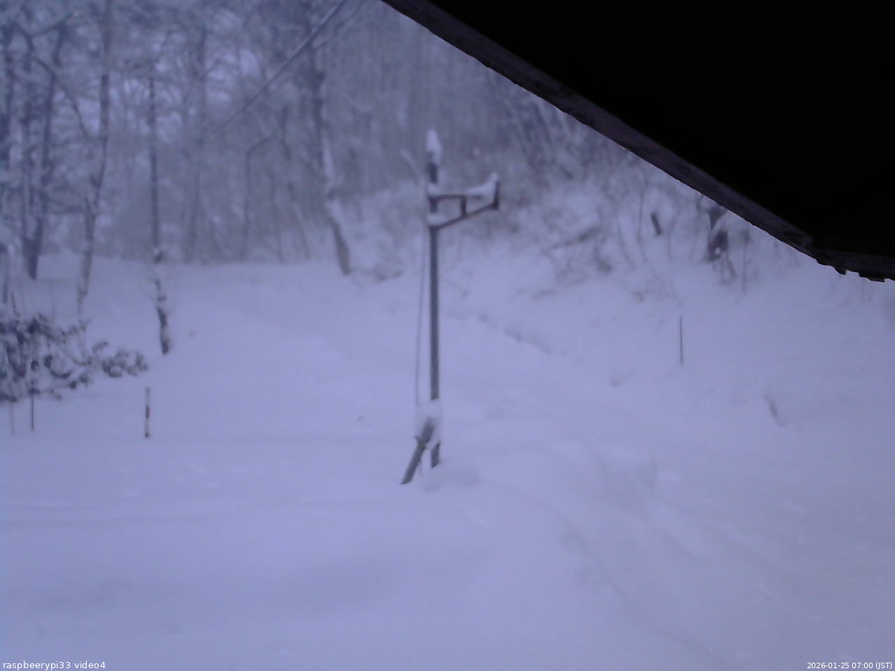 長野県菅平高原 ゆたか山荘 東側(坂下) 2026/01/25 07:00