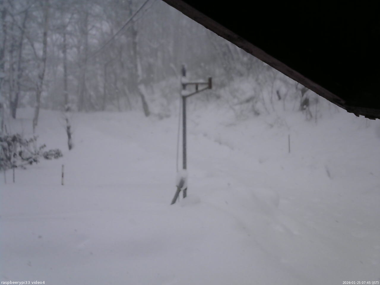 長野県菅平高原 ゆたか山荘 東側(坂下) 2026/01/25 07:45