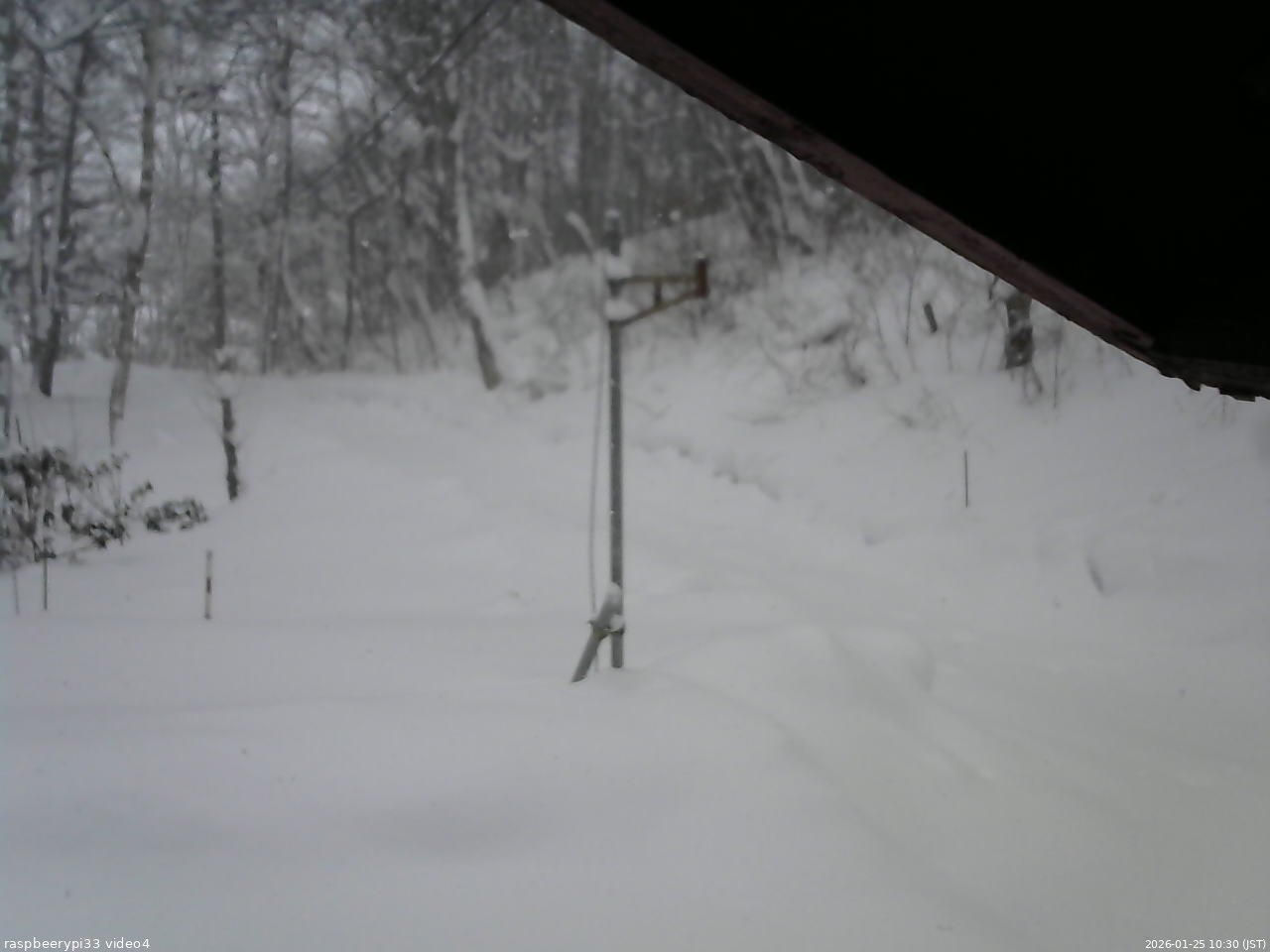 長野県菅平高原 ゆたか山荘 東側(坂下) 2026/01/25 10:30