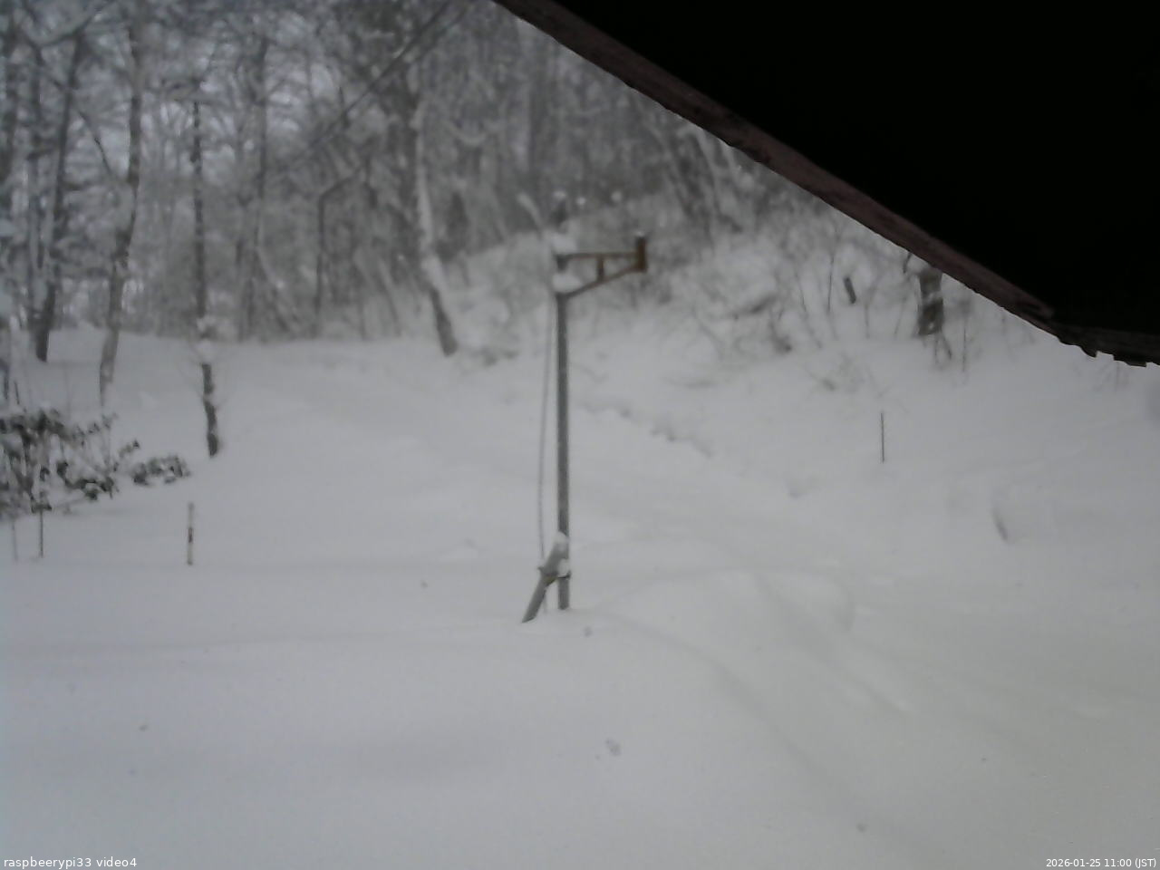 長野県菅平高原 ゆたか山荘 東側(坂下) 2026/01/25 11:00
