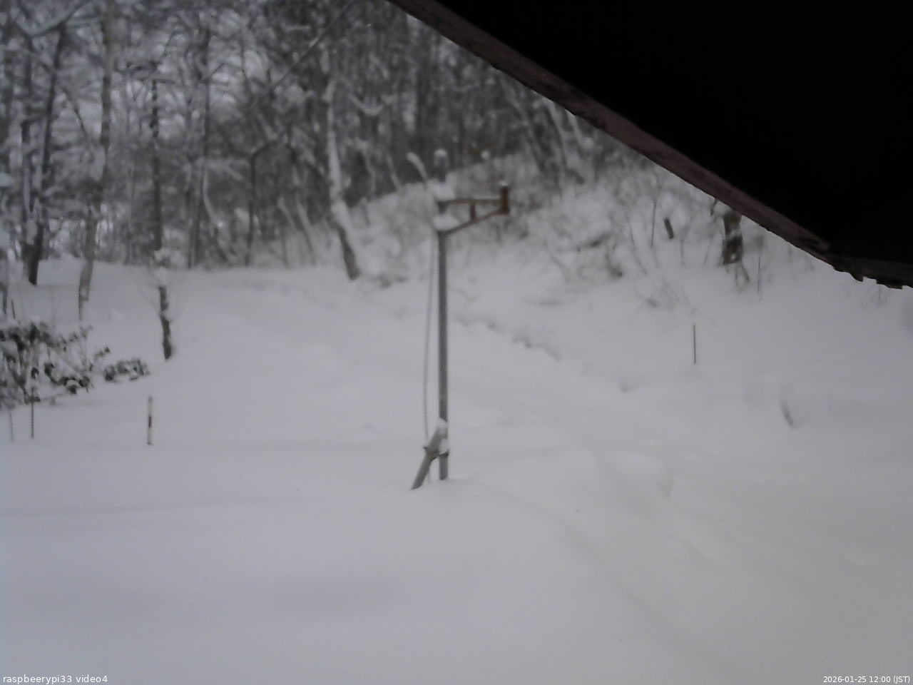 長野県菅平高原 ゆたか山荘 東側(坂下) 2026/01/25 12:00