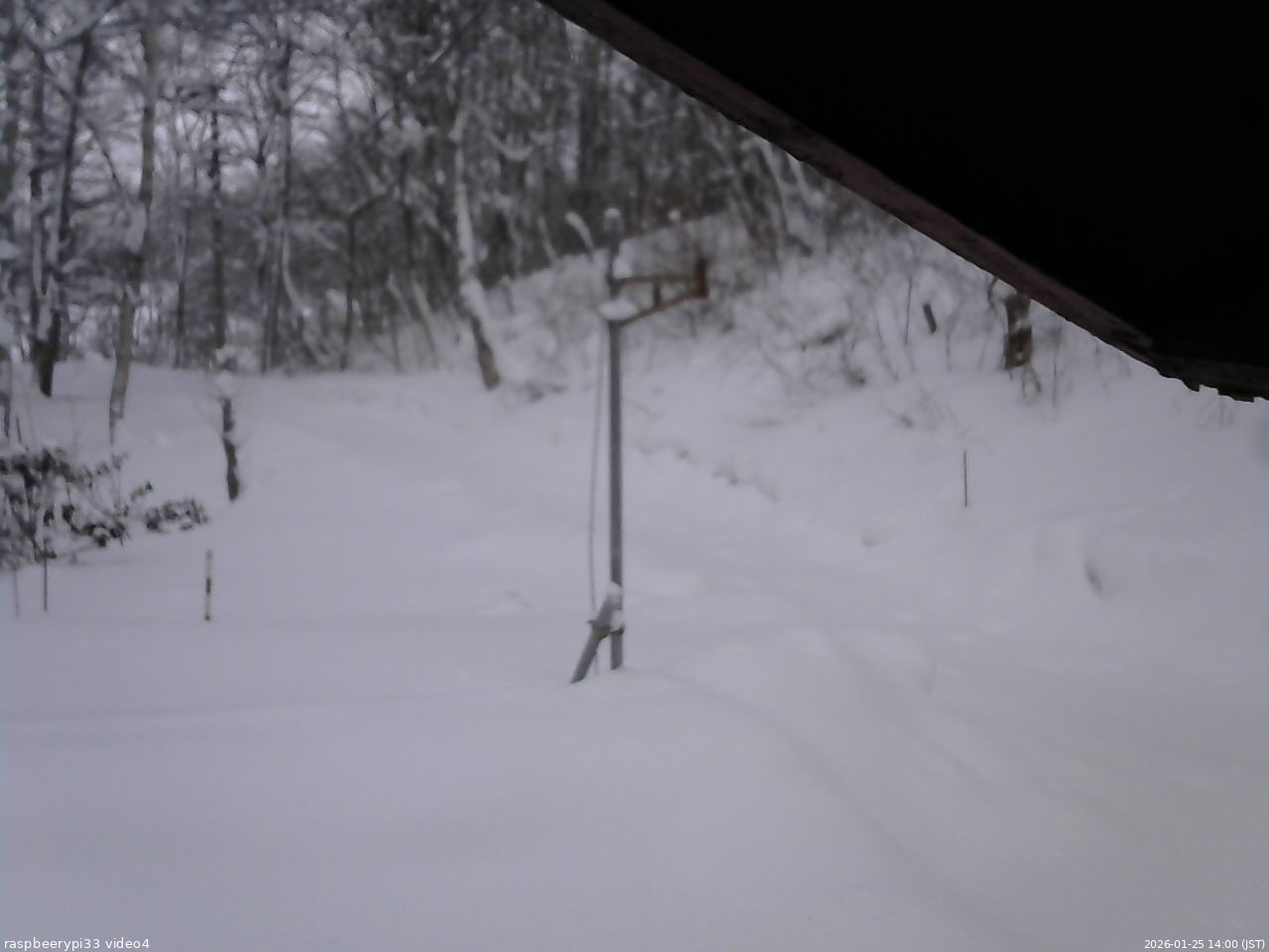 長野県菅平高原 ゆたか山荘 東側(坂下) 2026/01/25 14:00
