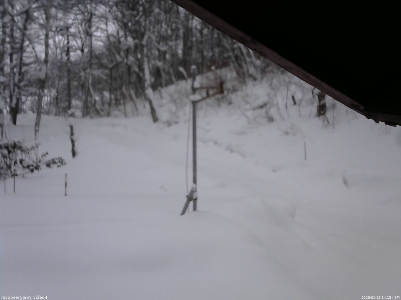 長野県菅平高原 ゆたか山荘 東側(坂下) 2026/01/25 14:15