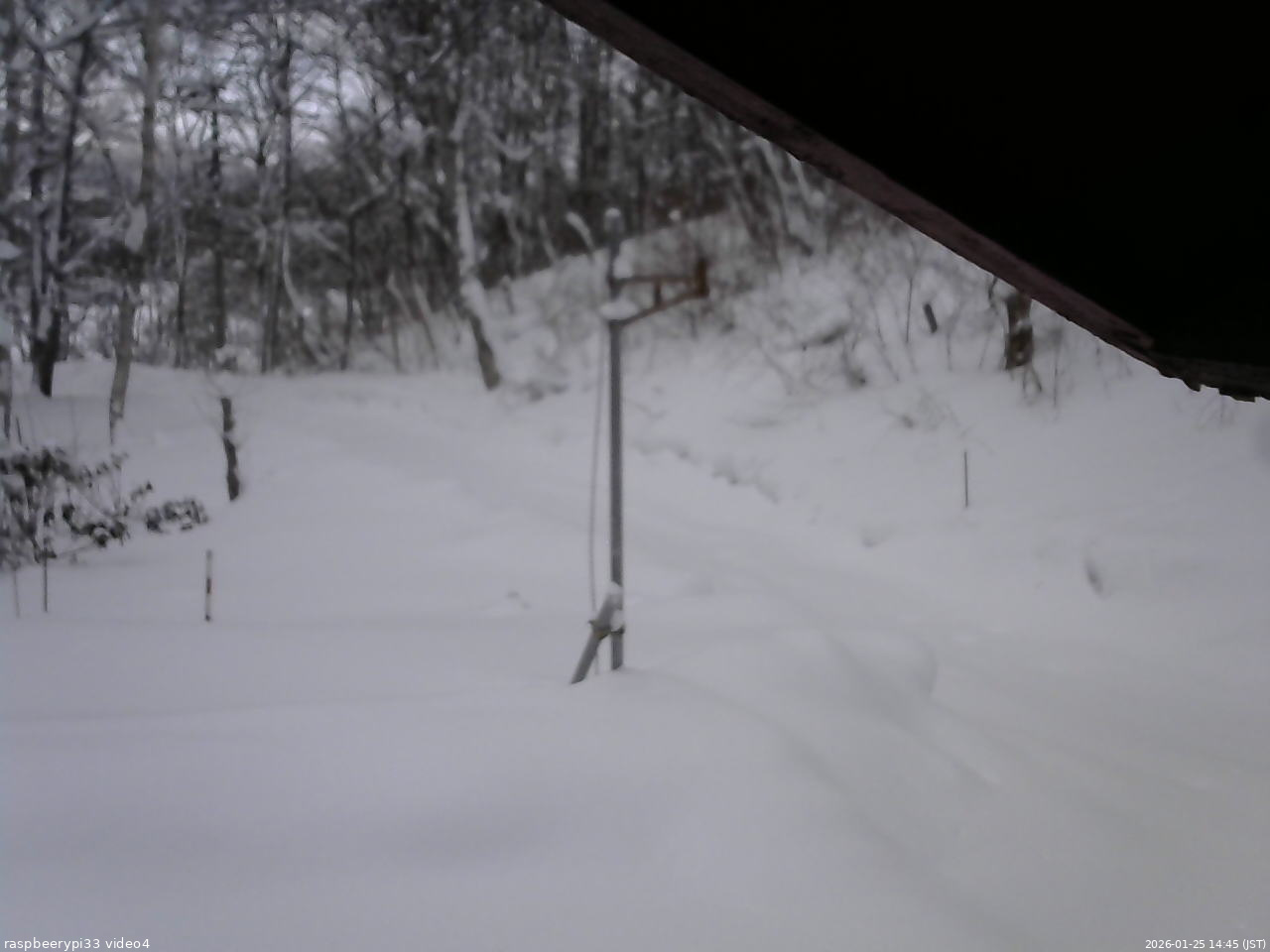 長野県菅平高原 ゆたか山荘 東側(坂下) 2026/01/25 14:45