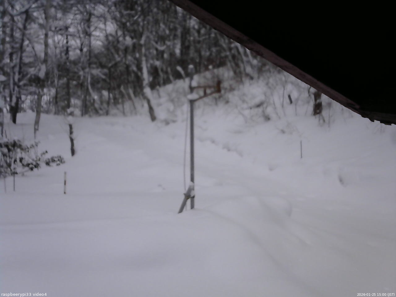 長野県菅平高原 ゆたか山荘 東側(坂下) 2026/01/25 15:00