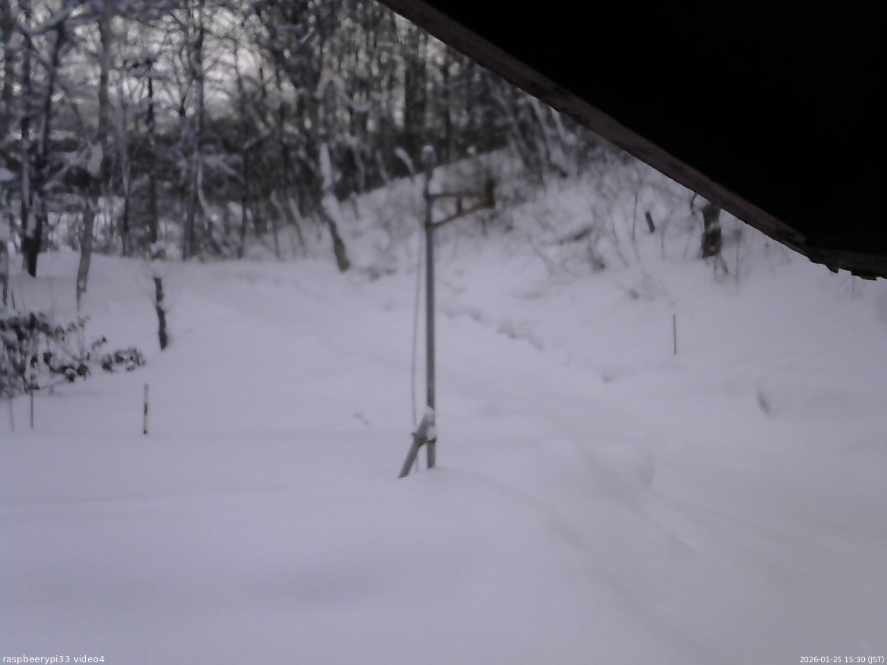 長野県菅平高原 ゆたか山荘 東側(坂下) 2026/01/25 15:30