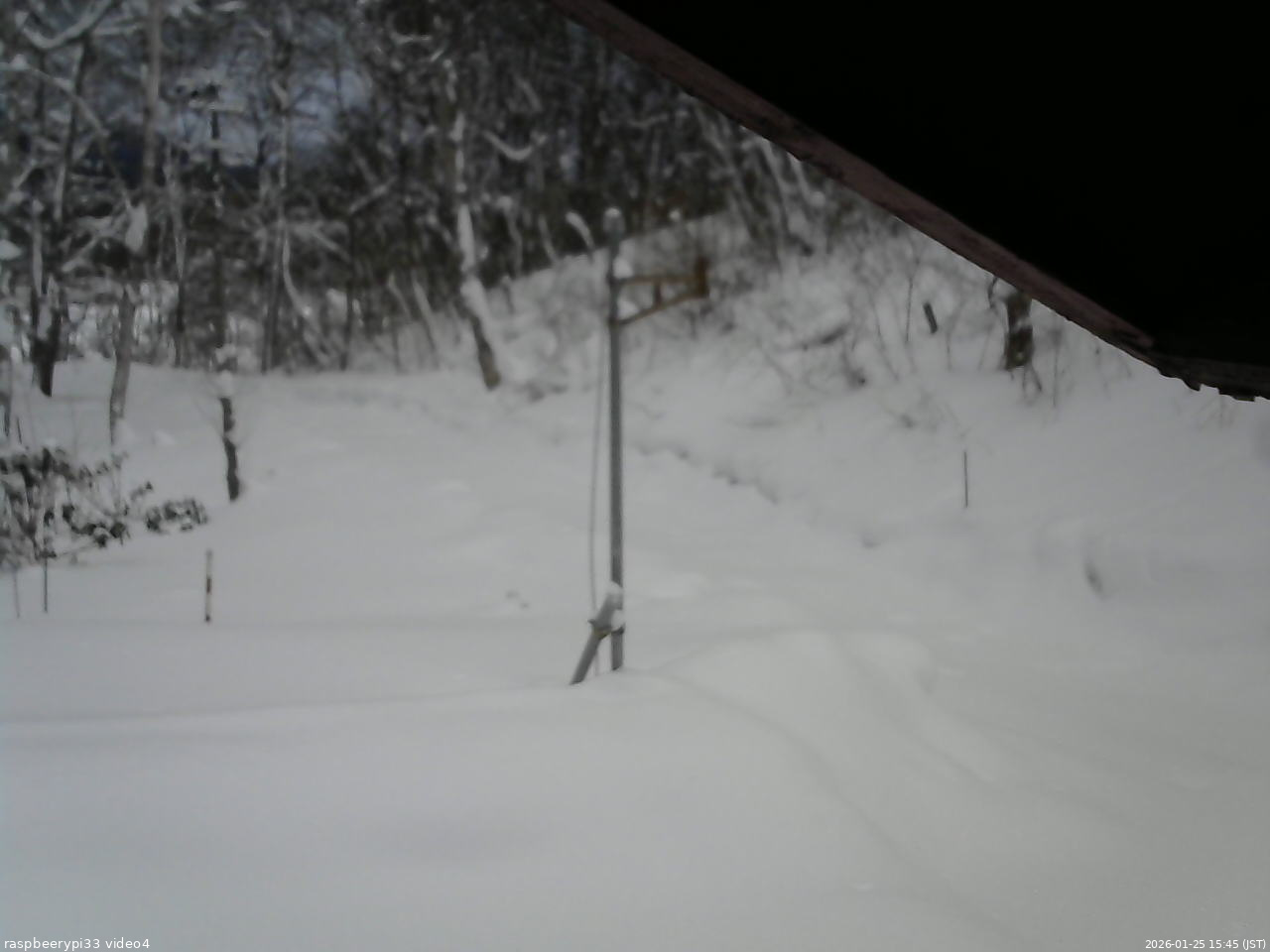 長野県菅平高原 ゆたか山荘 東側(坂下) 2026/01/25 15:45