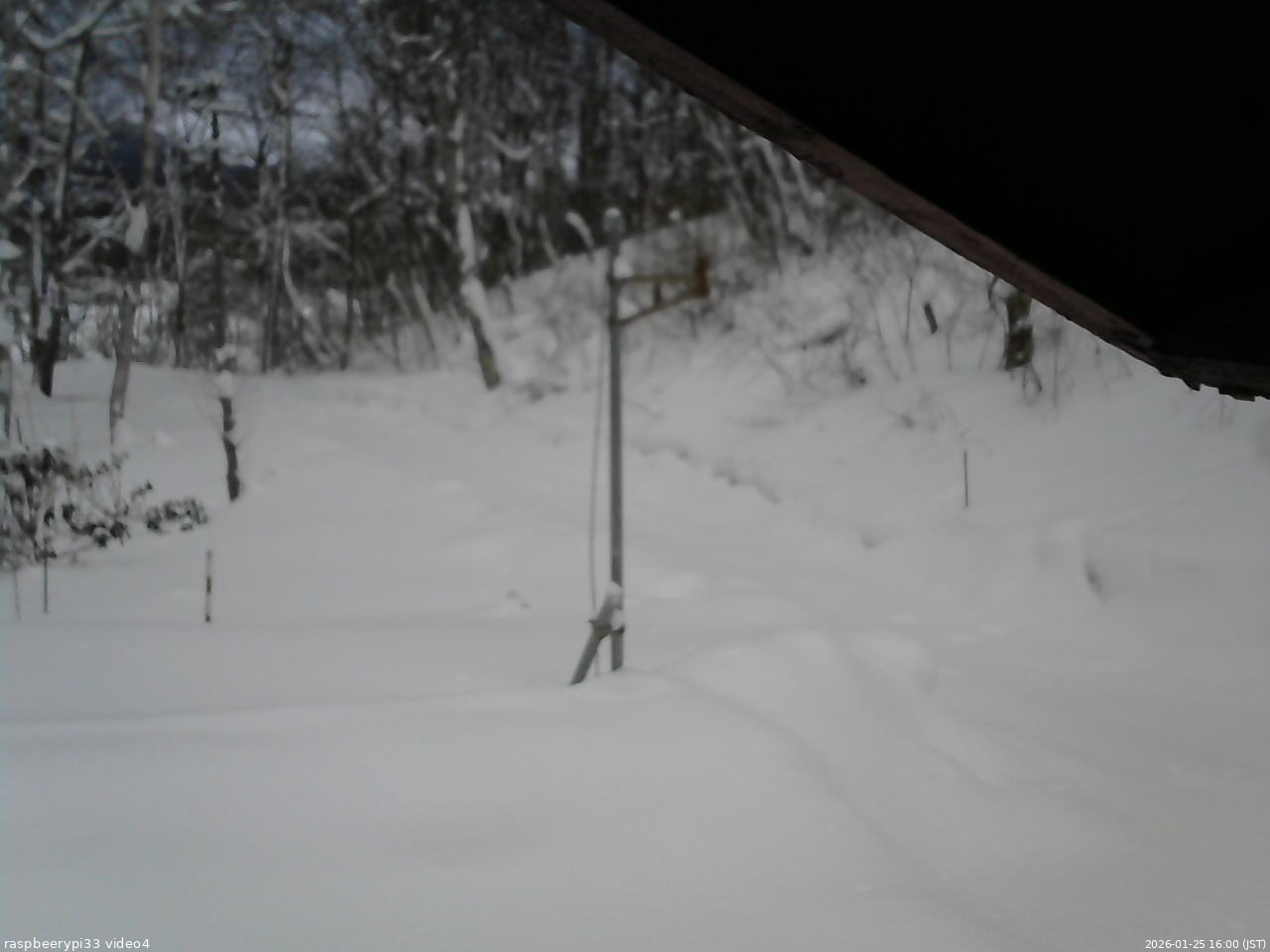 長野県菅平高原 ゆたか山荘 東側(坂下) 2026/01/25 16:00