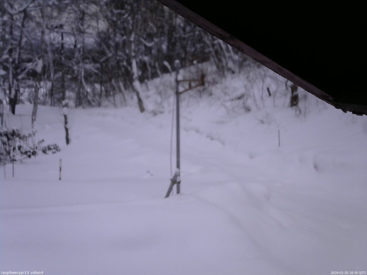 長野県菅平高原 ゆたか山荘 東側(坂下) 2026/01/25 16:30