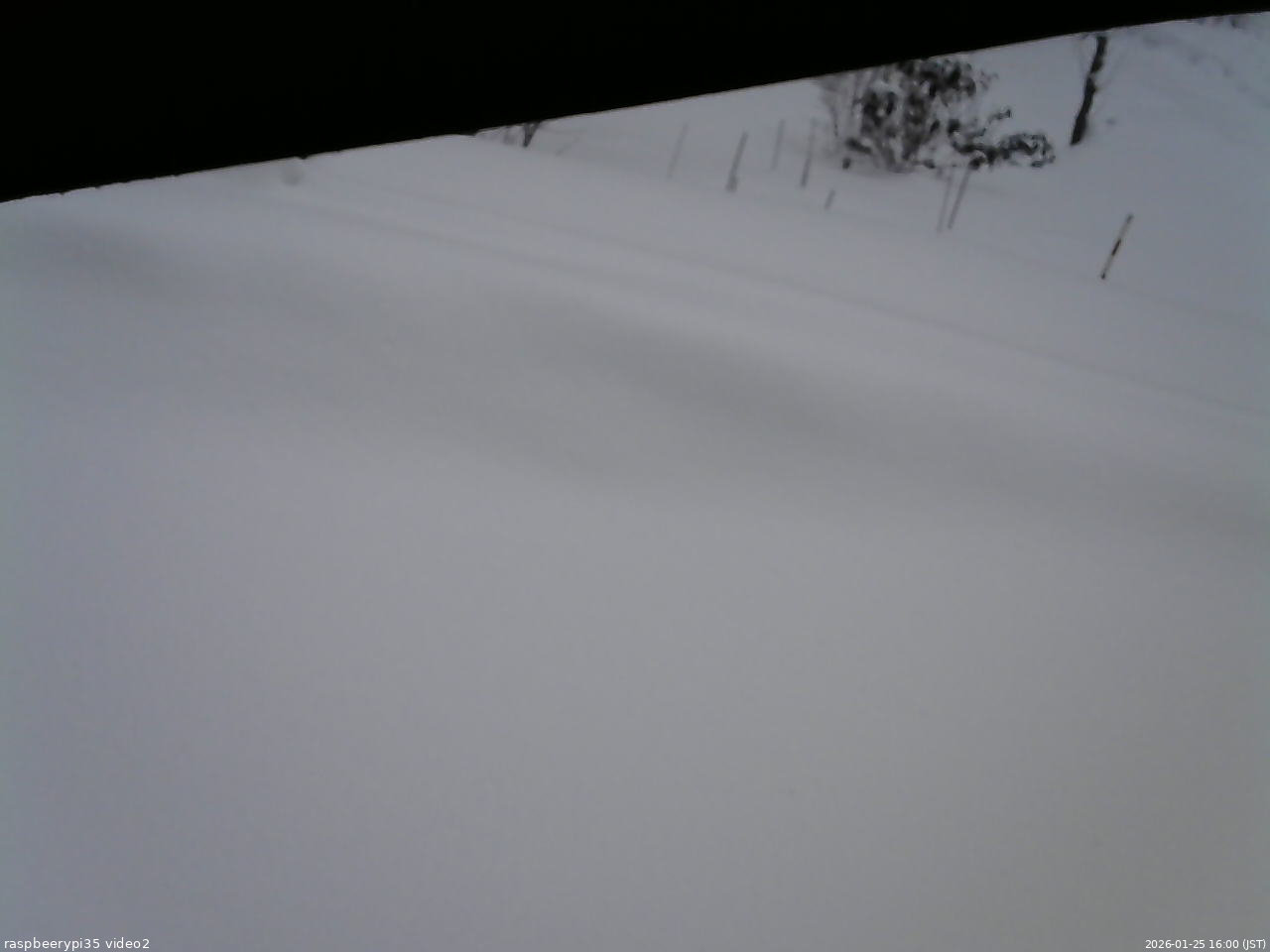 長野県菅平高原 ゆたか山荘 駐車場 2026/01/25 16:00