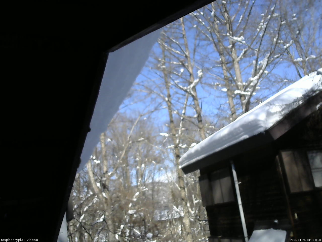 長野県菅平高原 ゆたか山荘 北側 2026/01/26 13:30