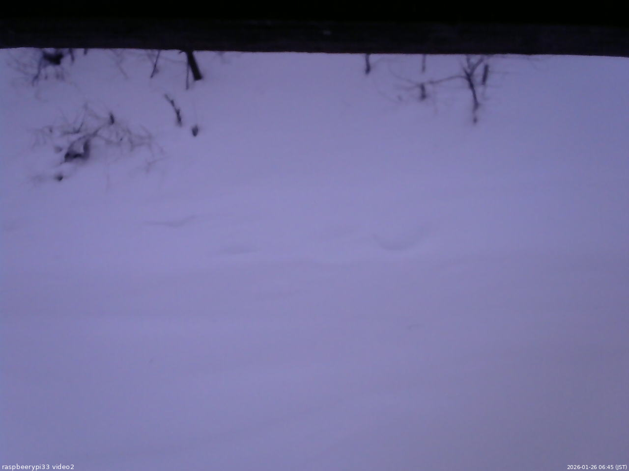 長野県菅平高原 ゆたか山荘 南側 2026/01/26 06:45
